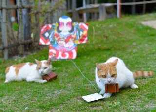 Illustration for article titled Cats Are the Cutest Guides to Japan